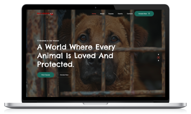 portfolio preview